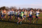 Mens under-17s North Eastern Cross Country, Redcar. Photo:  David T. Hewitson/Sports for All Pics